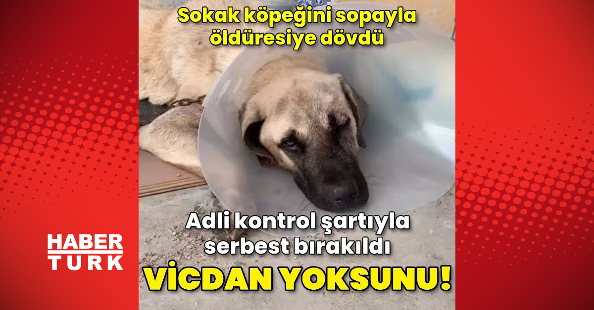 Sokak köpeğini sopayla dövdü; o anlar kamerada